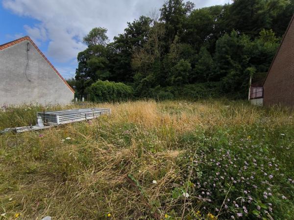 Labuissiere terrain constructible