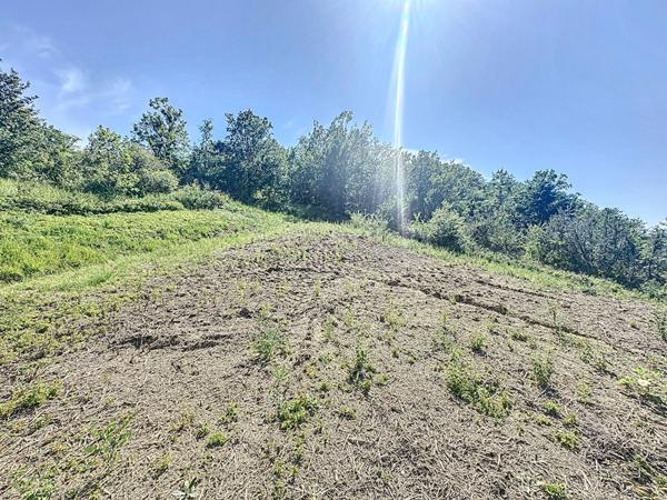 A vendre Terrain constructible Duran 6070 m2 avec bois et hors lotissement