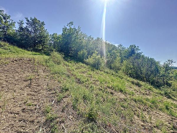 A vendre Terrain constructible Duran 6070 m2 avec bois et hors lotissement