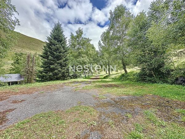 A Vendre Maison de Montagne Loudenvielle 4 pièces 200 m2