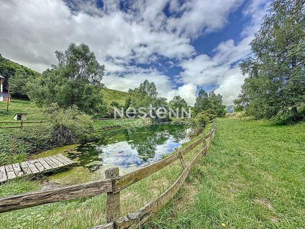 A Vendre Maison de Montagne Loudenvielle 4 pièces 200 m2