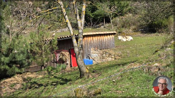 Mariac (07160) Vente prestige - Maison en pierres 290 m² - Le Cheylard - 2,6 Hectares de terrain
