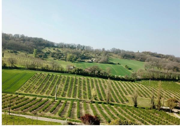 Vente Maison 3 pièces 76 m2 à Clairac