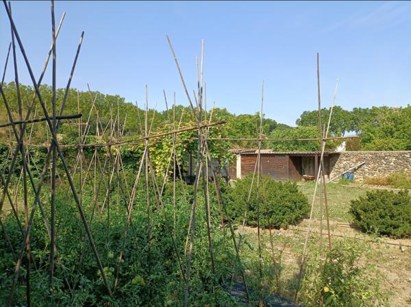 Pézenas (34120) 7 minutes de Pézenas. Superbe maison rénovée avec très grand garage et grand patio.