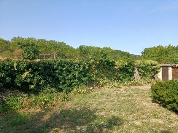Pézenas (34120) 7 minutes de Pézenas. Superbe maison rénovée avec très grand garage et grand patio.