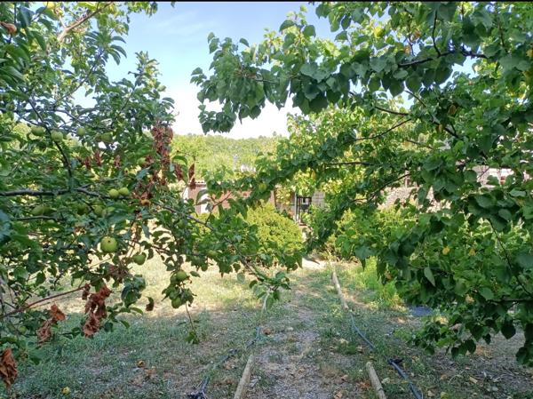 Pézenas (34120) 7 minutes de Pézenas. Superbe maison rénovée avec très grand garage et grand patio.