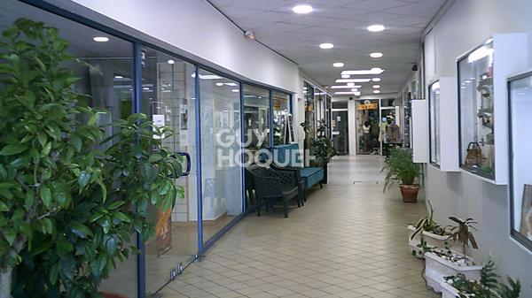 Immeuble Sable Sur Sarthe 10 pièce(s)