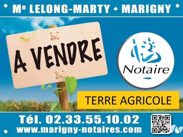 Vente d'une parcelle agricole louée de 4071m²