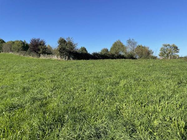 Terrain à vendre |  Beynat |  1200 m²