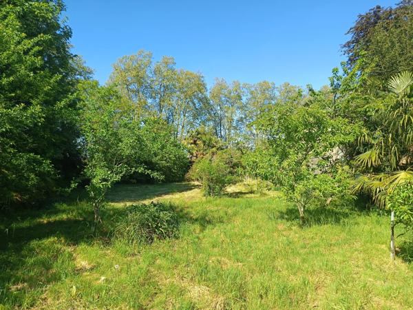 Exclusivité : Terrain constructible arboré en Cœur de Ville