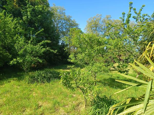 Exclusivité : Terrain constructible arboré en Cœur de Ville