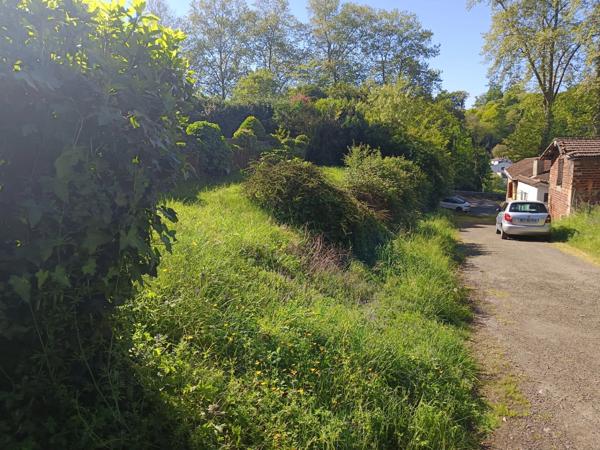 Exclusivité : Terrain constructible arboré en Cœur de Ville