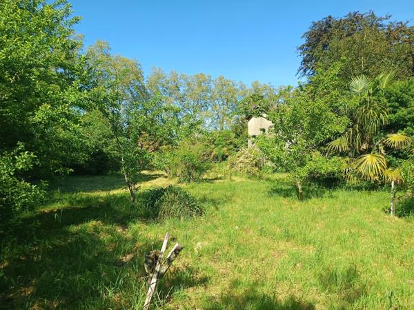 Exclusivité : Terrain constructible arboré en Cœur de Ville