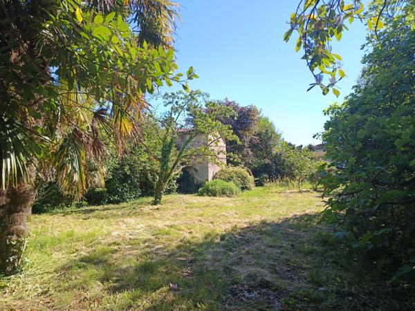 Exclusivité : Terrain constructible arboré en Cœur de Ville