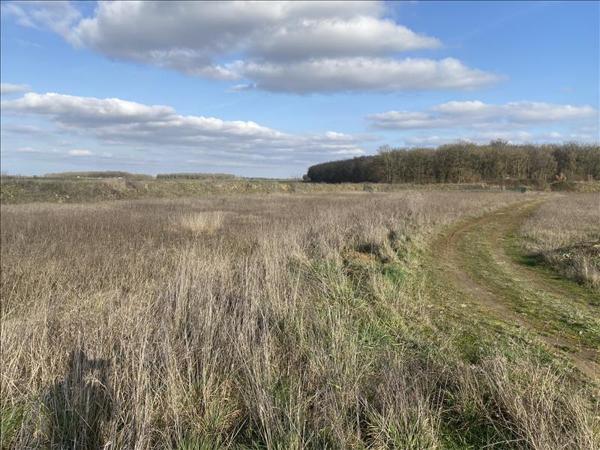 Terrain à vendre |  Saint-Florent-sur-Cher |  744 m²