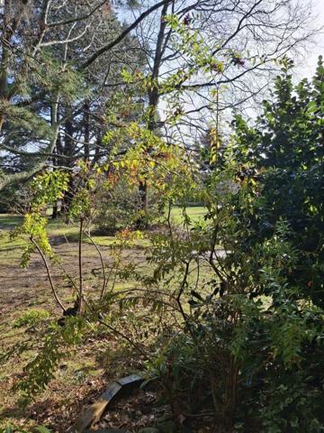 Appartement à vendre à Larmor-Plage dans le Morbihan (56260), ref : 56081-2537