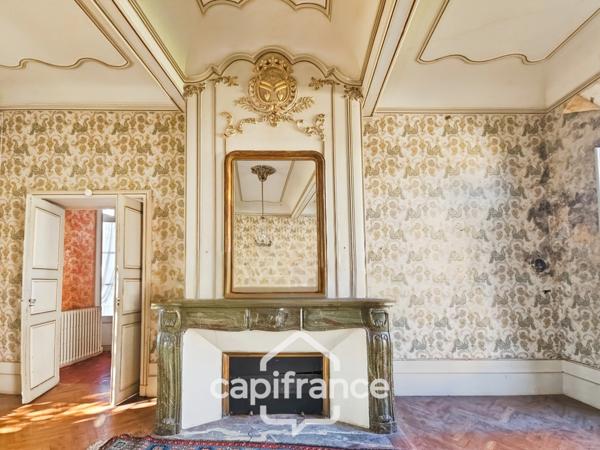 Propriété de caractère au cœur de Layrac 275m² habitable, Garage, jardin et terrain