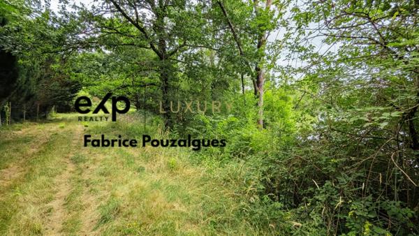 Propriété rare de 6 hectares avec lac privé – résidence ou projet nature