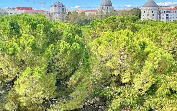 Appartement à vendre    2 pièces • 44,65 m2 Montpellier