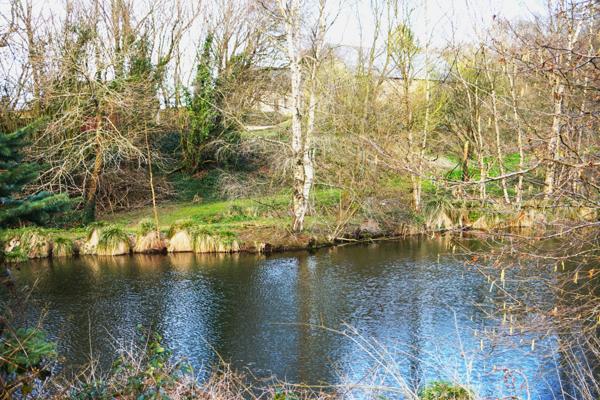 MAGNIFIQUE PROPRIETE EQUESTRE , PLEINE DE CHARME, 10 BOXS.5 hectares