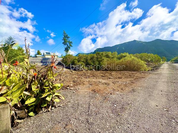 📞 MERCI DE ME CONTACTER AU 06 92 32 80 57, PAS DE MAILS NI DE MESSAGERIE.
MERCI DE VOTRE COMPRÉHENSION
______________________________ 

Terrain 500m² La-Plaine-Des-Palmistes

BSK Immobilier - NANA-IBRAHIM Norman vous propose : La-Plaine-Des-Palmistes

Extrêmement bien situé, à 12min de Saint-Benoît, ce très beau terrain plat, dans un environnement paisible, au calme, de 500m² prêt à accueillir votre future maison. 
Le terrain est viabilisé.  Proche de toute commodité, écoles, commerces.

Vous êtes en recherche d'une opportunité pour réaliser votre projet immobilier ? Appelez-moi sans tarder pour convenir d'une visite !

______________________________________

Honoraires : Charge vendeur 
Surface :  500m²
Non soumis au DPE
Honoraires à la charge du vendeur

Consommation énergie primaire : Non communiqué
Consommation énergie finale : Non communiqué