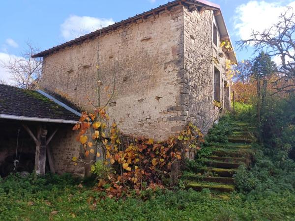 FERME à rénover / GRANGE secteur LAMARCHE (88) avec terrain - Idéal ARTISAN