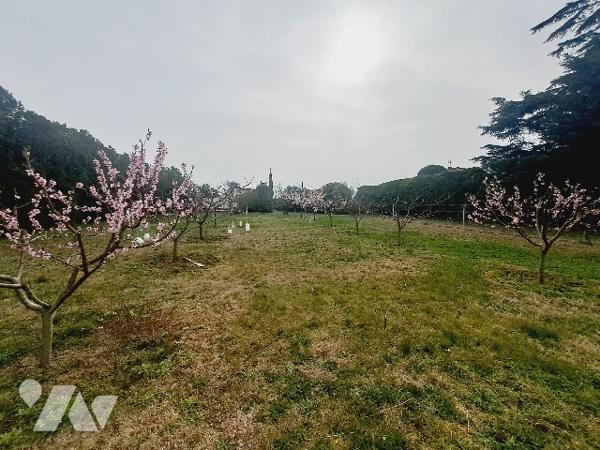 SAUZET, maison de 150m² habitable avec piscine et vaste jardin arboré.