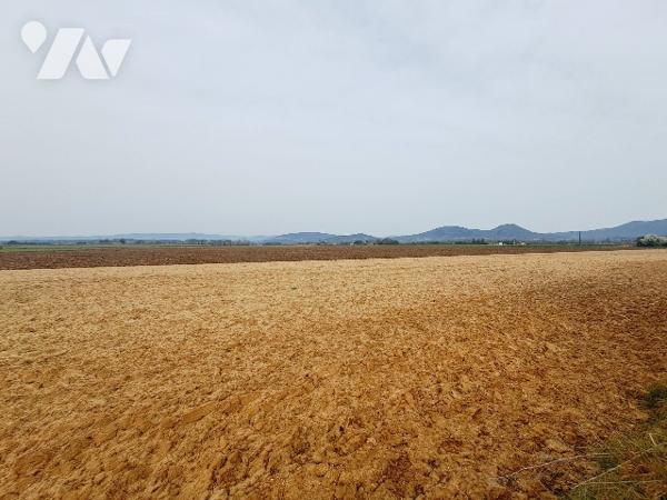 SAUZET, maison de 150m² habitable avec piscine et vaste jardin arboré.