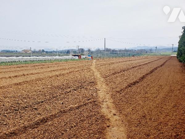 SAUZET, maison de 150m² habitable avec piscine et vaste jardin arboré.