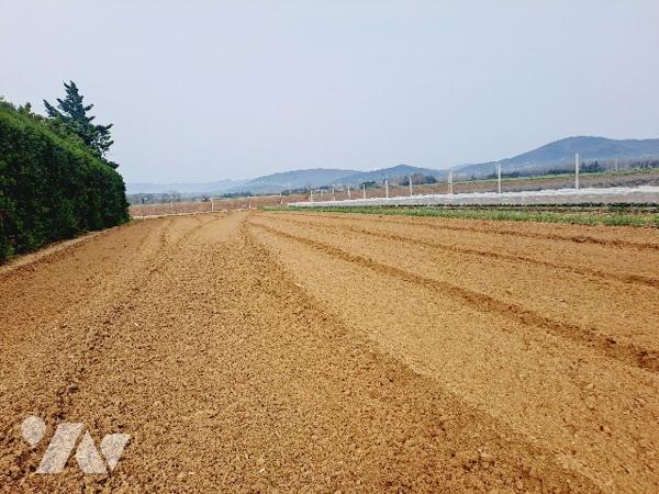 SAUZET, maison de 150m² habitable avec piscine et vaste jardin arboré.