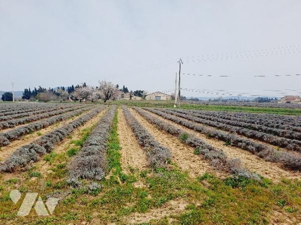 SAUZET, maison de 150m² habitable avec piscine et vaste jardin arboré.