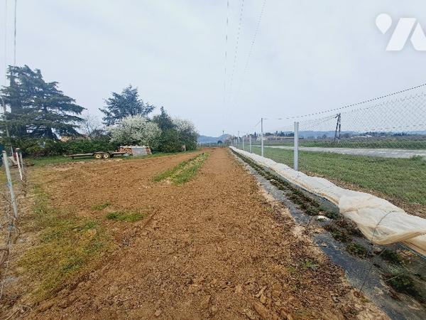SAUZET, maison de 150m² habitable avec piscine et vaste jardin arboré.