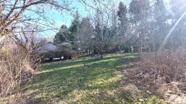 Vente / Terrain constructible