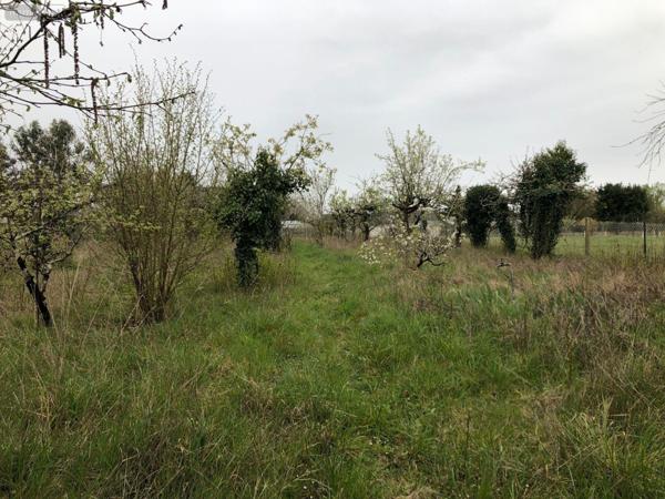 Terrain à Batir à vendre à Châteauroux dans l'Indre (36000), ref : 11813/1516