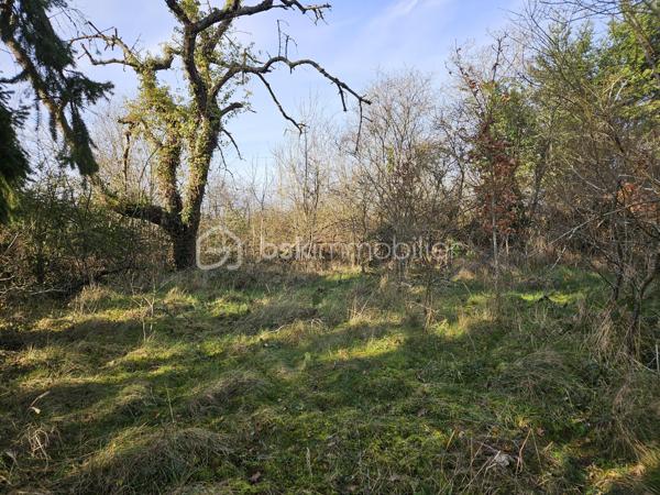 Terrain de 461,99 m²