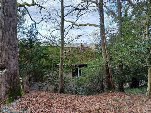 Maison de maître  7 000 m2 de bois .