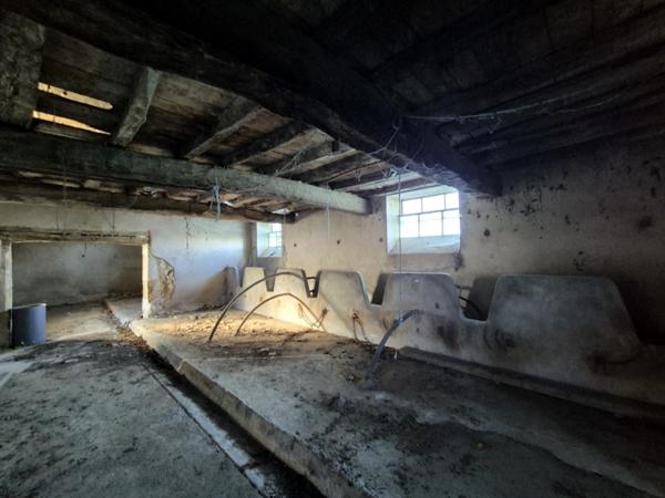 Belles pierres à rénover avec beau potentiel de 300m², CONDOM 32100