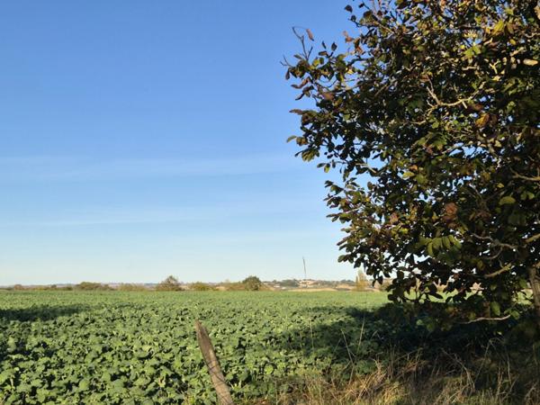 Belles pierres à rénover avec beau potentiel de 300m², CONDOM 32100