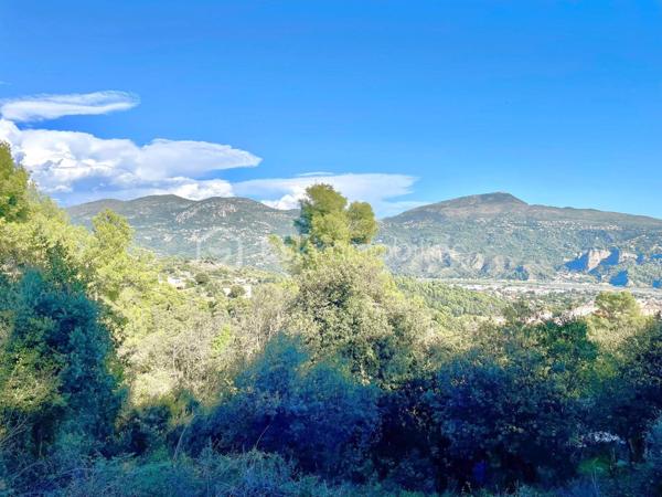 Terrain de 4 104 m²