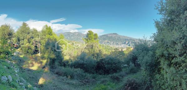 Terrain de 4 104 m²