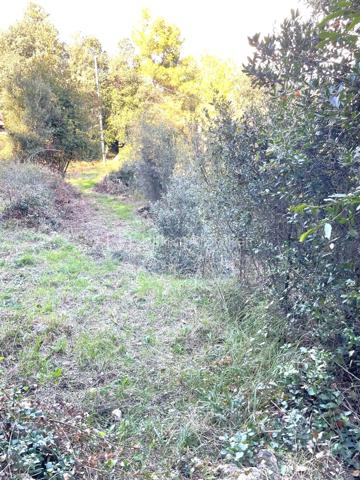 Terrain de 4 104 m²