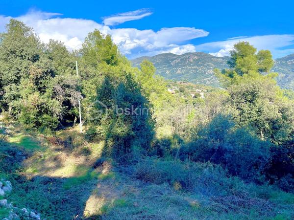 Terrain de 4 104 m²