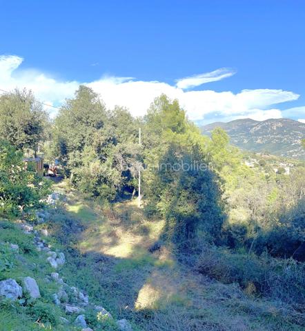 Terrain de 4 104 m²