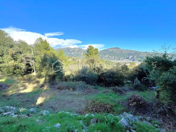Terrain de 4 104 m²