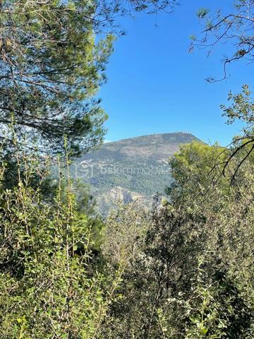 Terrain de 4 104 m²