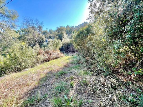 Terrain de 4 104 m²