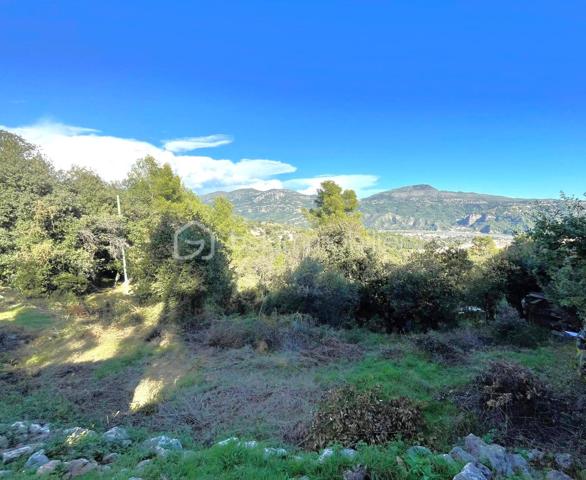 Terrain de 4 104 m²