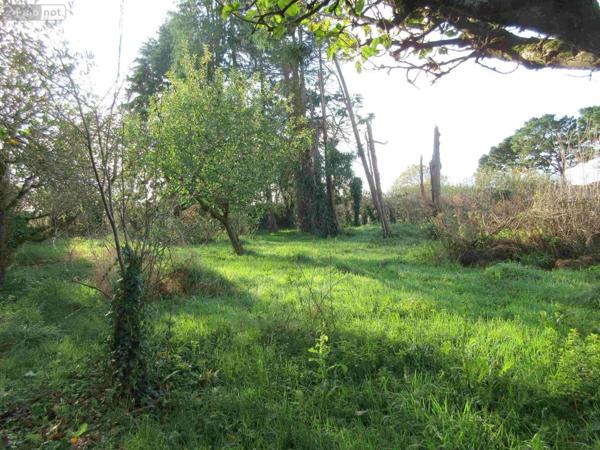 Maison à vendre à Beuzec-Cap-Sizun dans le Finistère (29790), ref : 020/3708