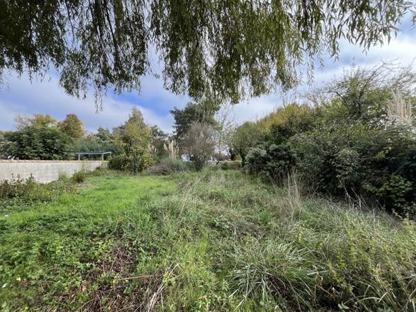 Terrain à vendre |  Dolus-d'Oléron |  605 m²