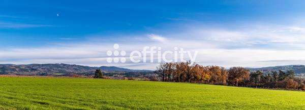 Local Commercial 42 pièces - 600 m²